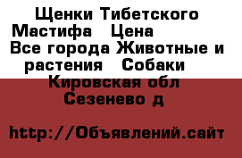 Щенки Тибетского Мастифа › Цена ­ 60 000 - Все города Животные и растения » Собаки   . Кировская обл.,Сезенево д.